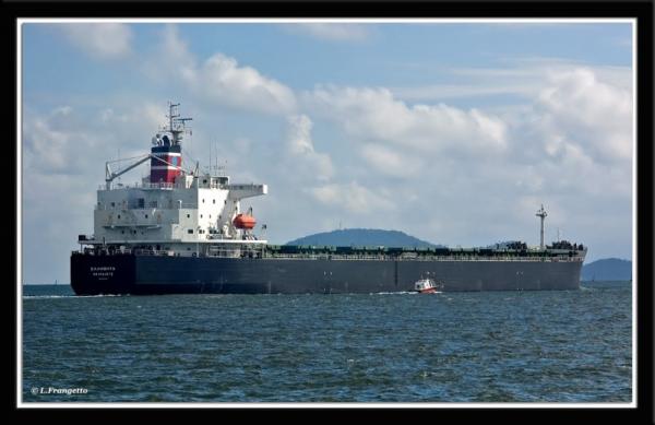 ELLIVITA(NIOVIS SHIPPING)